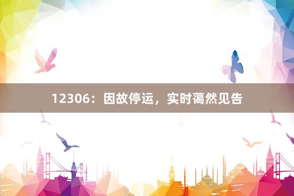 12306：因故停运，实时蔼然见告