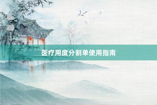 医疗用度分割单使用指南