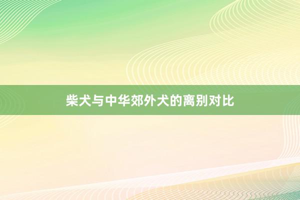 柴犬与中华郊外犬的离别对比